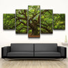 Angel Oak Tree - Amazing Canvas Prints