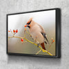 Bohemian waxwing