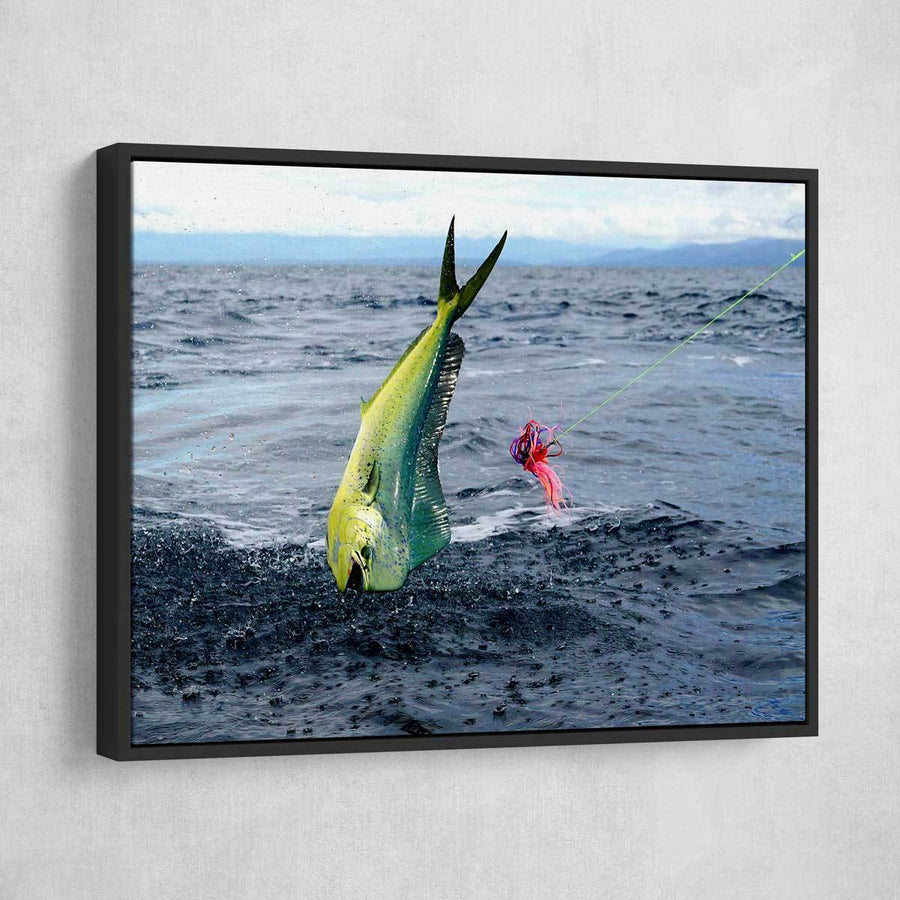 Breached Mahi Mahi - Amazing Canvas Prints