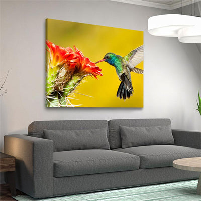 Broad Billed Hummingbird - Amazing Canvas Prints