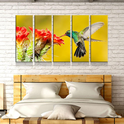 Broad Billed Hummingbird - Amazing Canvas Prints