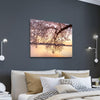 Cherry Blossoms - Amazing Canvas Prints