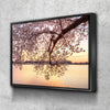 Cherry Blossoms - Amazing Canvas Prints