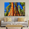 Giant Sequoia Trees In Mariposa Grove - Amazing Canvas Prints