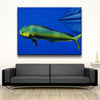 Mahi Mahi - Amazing Canvas Prints