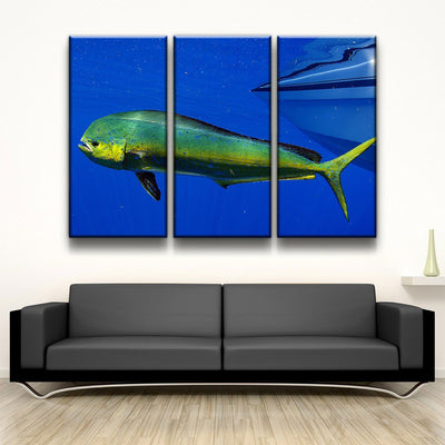 Mahi Mahi - Amazing Canvas Prints