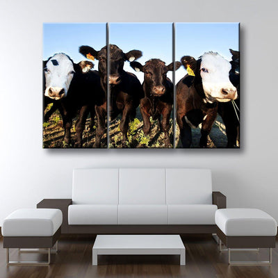 Angus Cattle - Amazing Canvas Prints