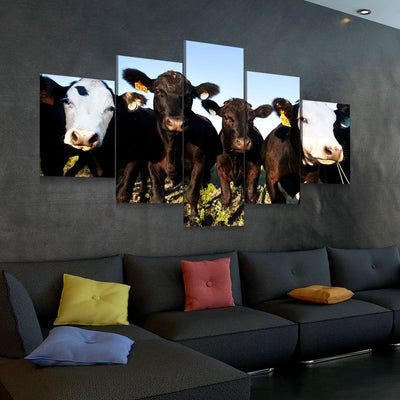 Angus Cattle - Amazing Canvas Prints