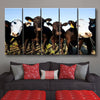 Angus Cattle - Amazing Canvas Prints