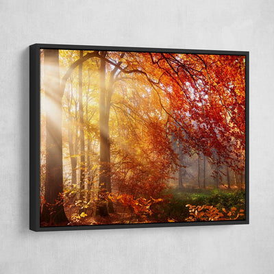 Autumn Forest Sun Rays - Amazing Canvas Prints