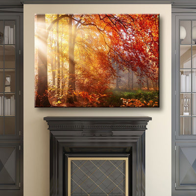 Autumn Forest Sun Rays - Amazing Canvas Prints