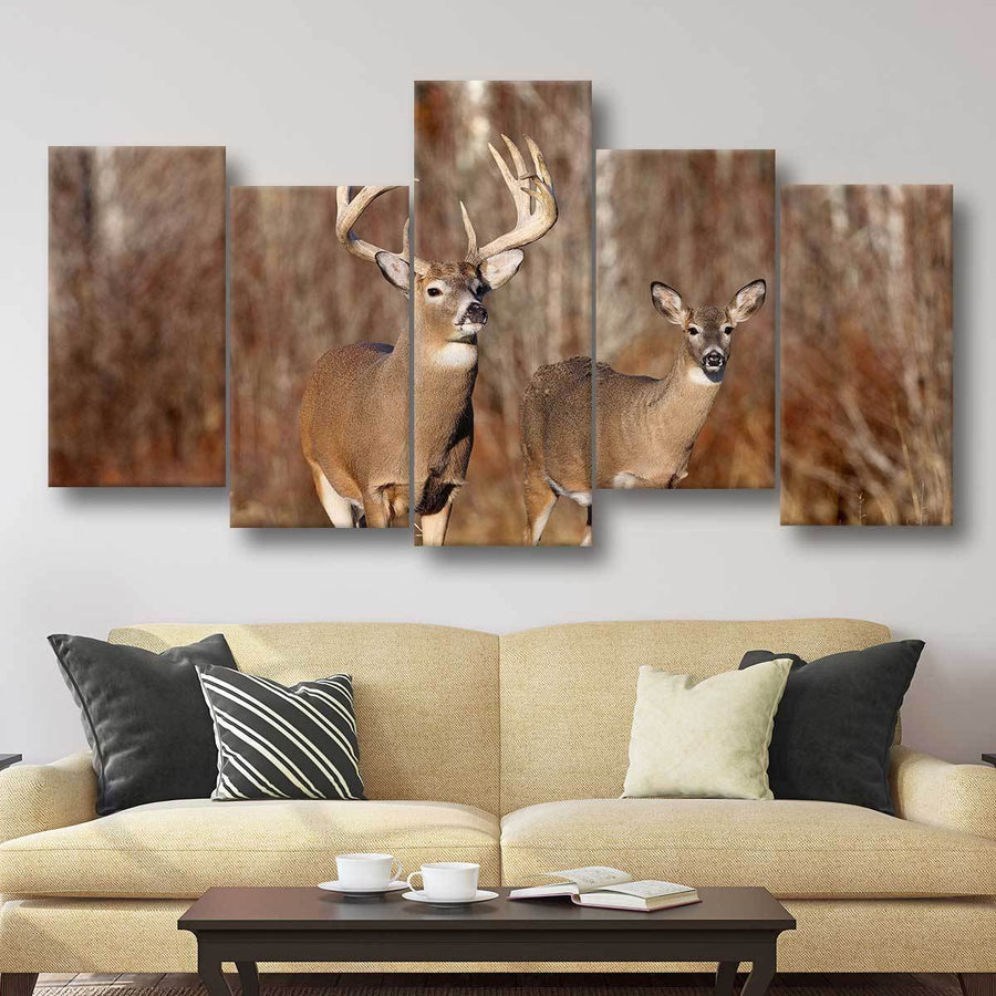 Buck And Doe - Amazing Canvas Prints