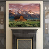 Barn In Grand Teton National Park - Amazing Canvas Prints