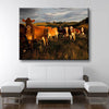 Curious Cattle - Amazing Canvas Prints