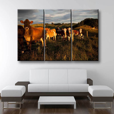 Curious Cattle - Amazing Canvas Prints