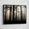 Dark Forest - Amazing Canvas Prints