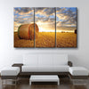 Farming Fields - Amazing Canvas Prints