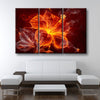 Fire Flower - Amazing Canvas Prints