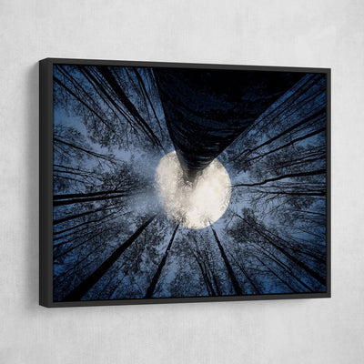 Full Moon - Amazing Canvas Prints