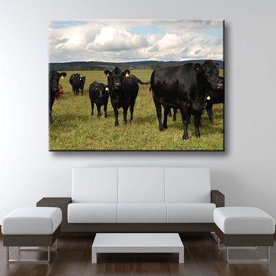 Grazing Cattle - Amazing Canvas Prints