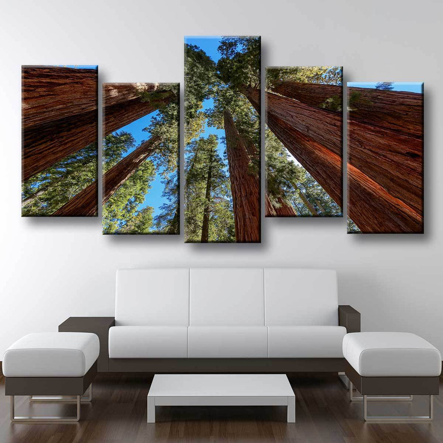 Giant Sequoia Trees - Amazing Canvas Prints