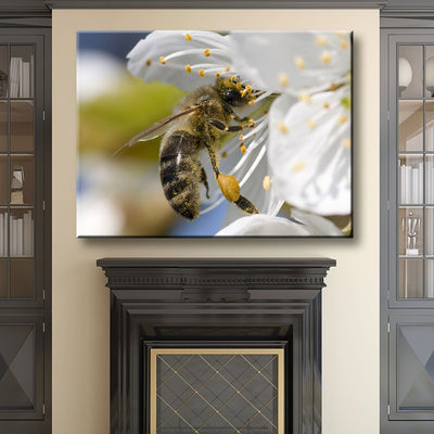 Honey Bee - Amazing Canvas Prints