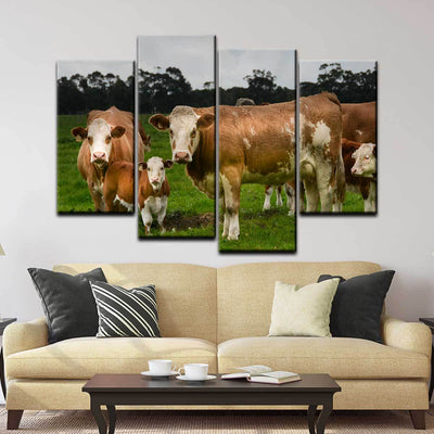 Hereford Cattle - Amazing Canvas Prints