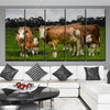 Hereford Cattle - Amazing Canvas Prints