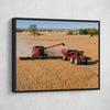 Harvest Time V2 - Amazing Canvas Prints