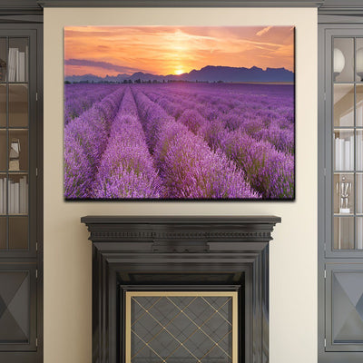 Lavender Fields Sunrise - Amazing Canvas Prints