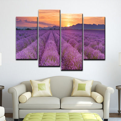 Lavender Fields Sunrise - Amazing Canvas Prints