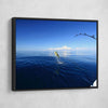 Mahi Mahi Fishing - Amazing Canvas Prints