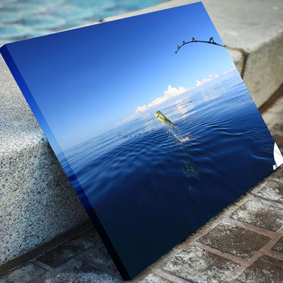 Mahi Mahi Fishing - Amazing Canvas Prints