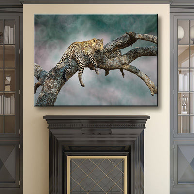 Resting Leopard - Amazing Canvas Prints