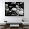 Studio Drums - Amazing Canvas Prints