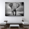 Standing Ground - Amazing Canvas Prints