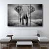 Standing Ground - Amazing Canvas Prints