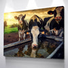 Young Calves - Amazing Canvas Prints