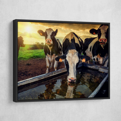 Young Calves - Amazing Canvas Prints