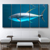 Yellowfin Tuna - Amazing Canvas Prints