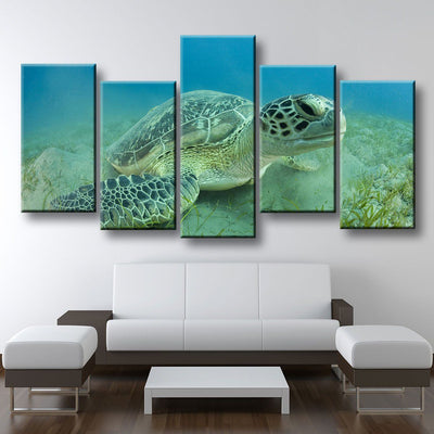 Young Sea Turtle - Amazing Canvas Prints