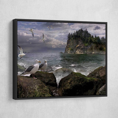 Seagull Island - Amazing Canvas Prints