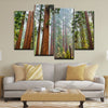 Sequoia Trees In Mariposa Grove - Amazing Canvas Prints