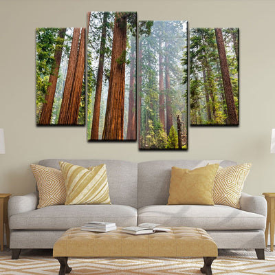 Sequoia Trees In Mariposa Grove - Amazing Canvas Prints