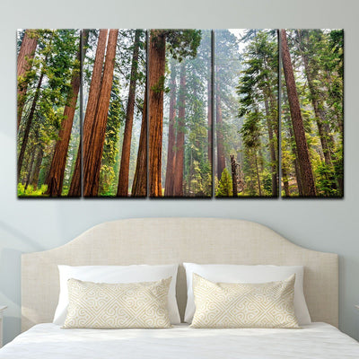 Sequoia Trees In Mariposa Grove - Amazing Canvas Prints