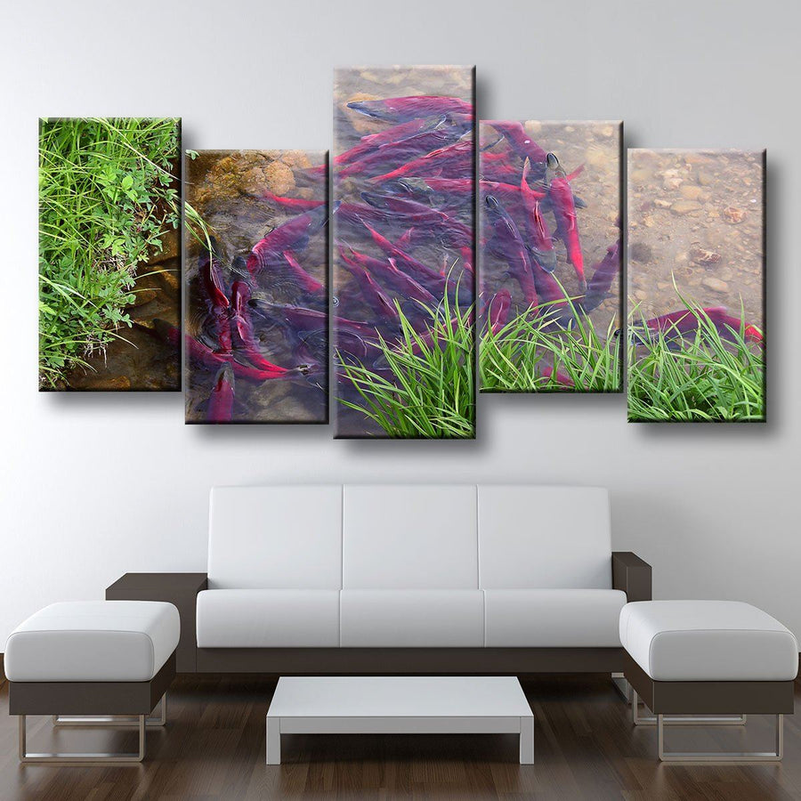 Spawning Sockeye Salmon - Amazing Canvas Prints