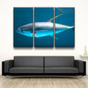 Yellowfin Tuna - Amazing Canvas Prints